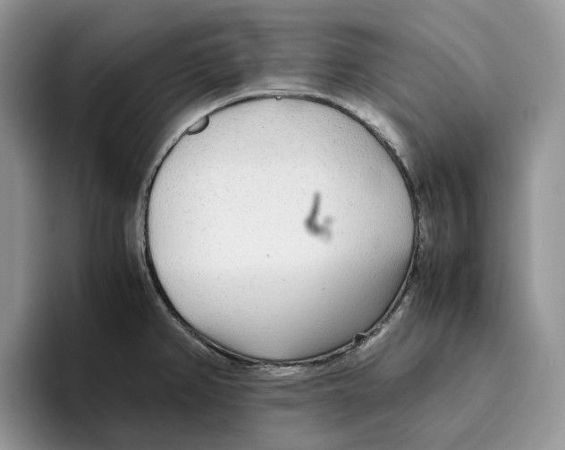 X0000093531382200711091750