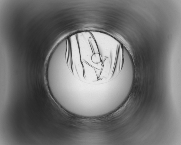 X0000093531384200711091750