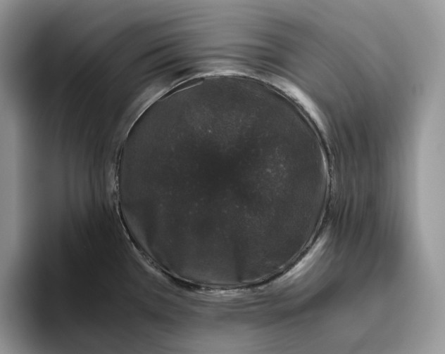 X0000093531385200711091750