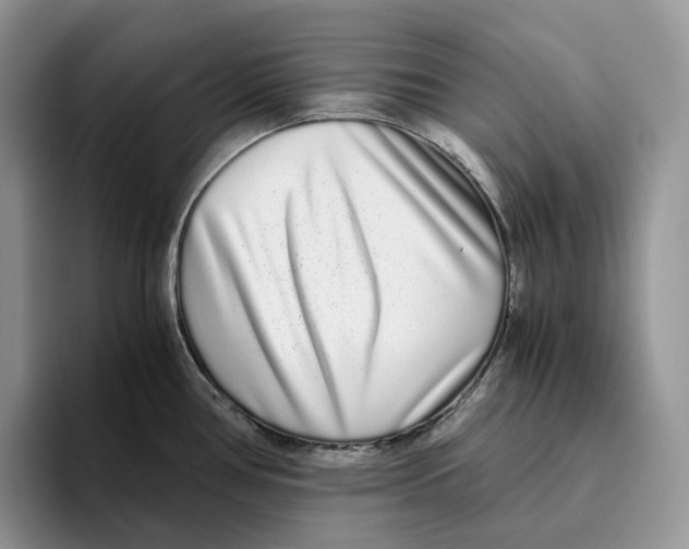 X0000093531386200711091750