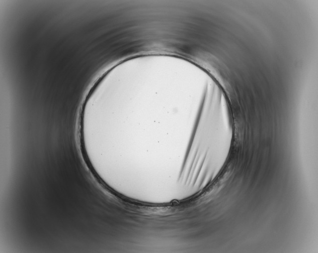 X0000093531387200711091750