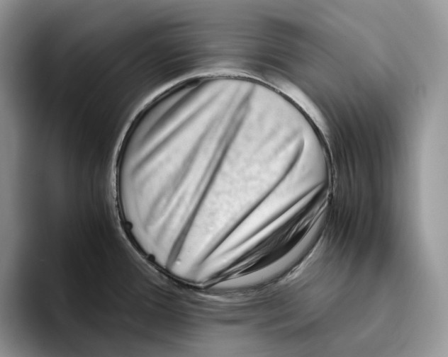 X0000093531388200711091750