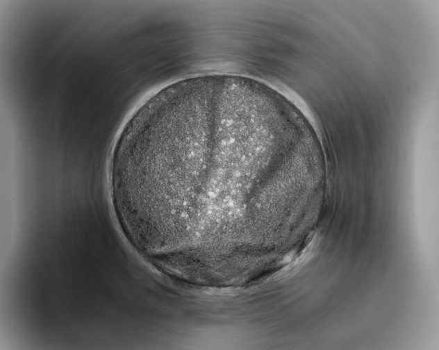 X0000093531389200711091750