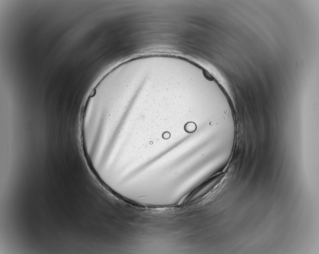 X0000093531390200711091750