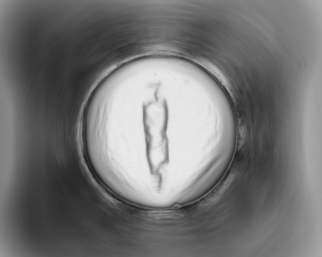 X0000093531391200711091750