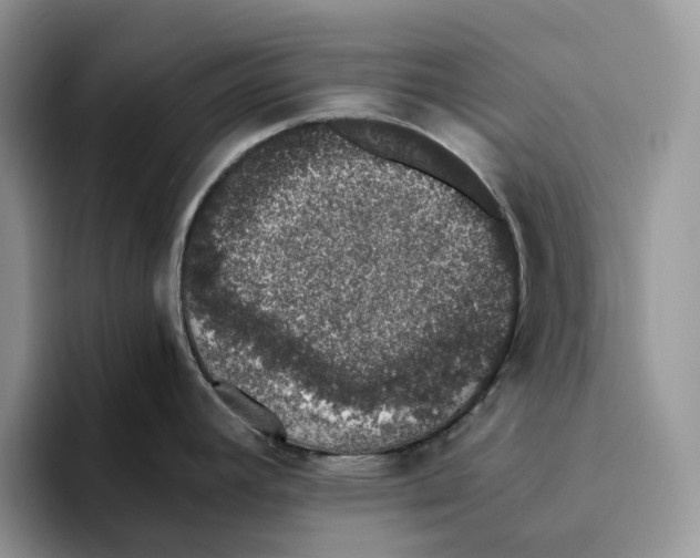 X0000093531392200711091750