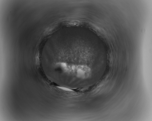 X0000093531394200711091749