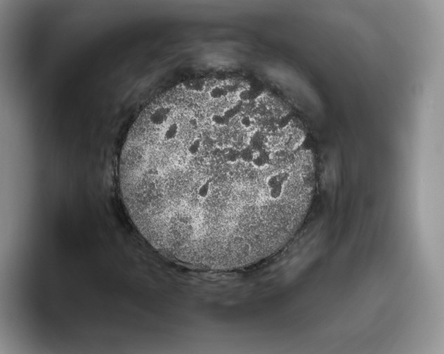 X0000093531397200711091749