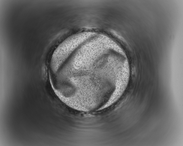 X0000093531398200711091749