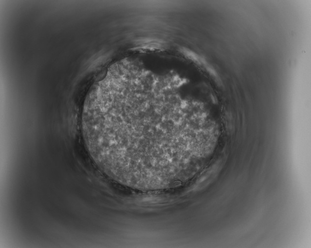 X0000093531399200711091749