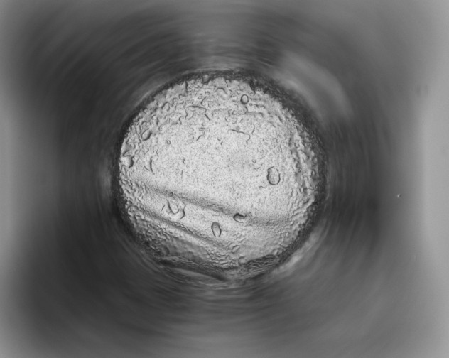 X0000093531401200711091749