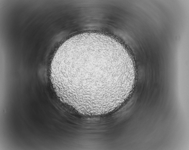 X0000093531403200711091749