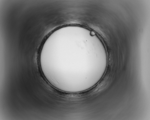 X0000093531404200711091749