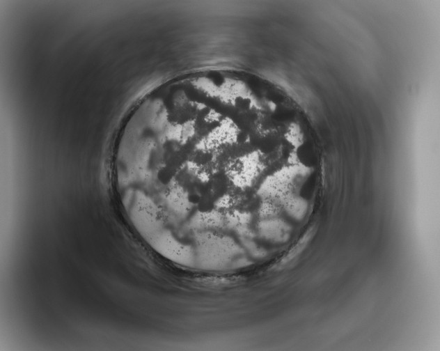 X0000093531405200711091749