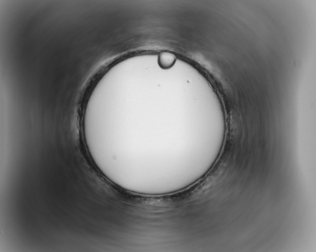 X0000093531408200711091749