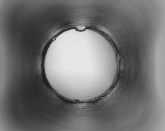 X0000093531410200711091749