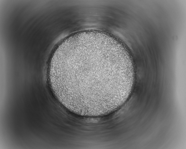 X0000093531411200711091749