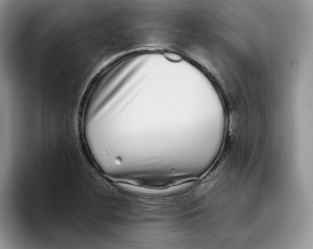 X0000093531412200711091749