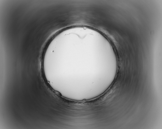 X0000093531416200711091749