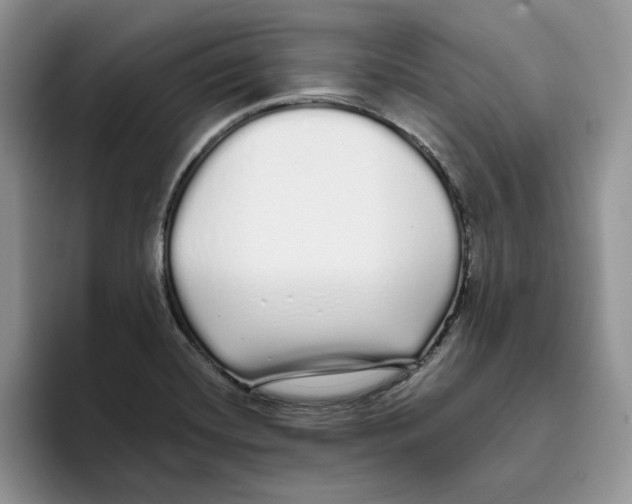 X0000093531420200711091750