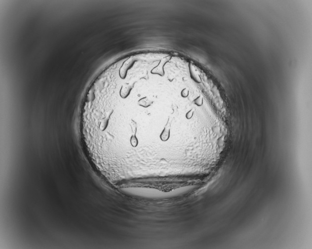 X0000093531421200711091750