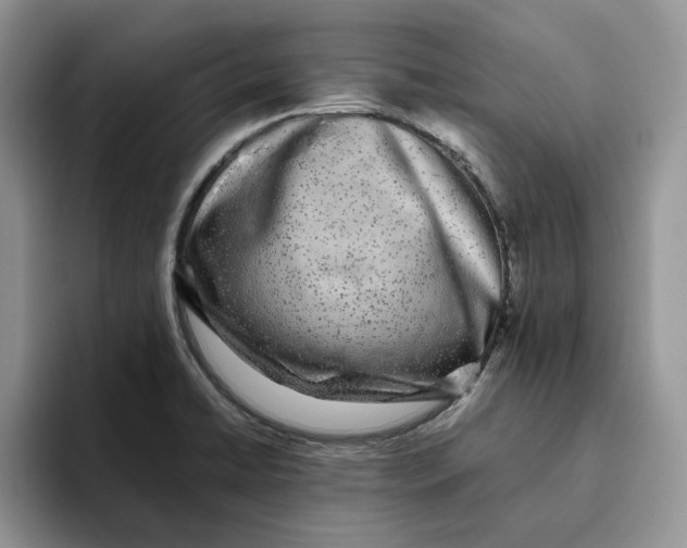 X0000093531422200711091750