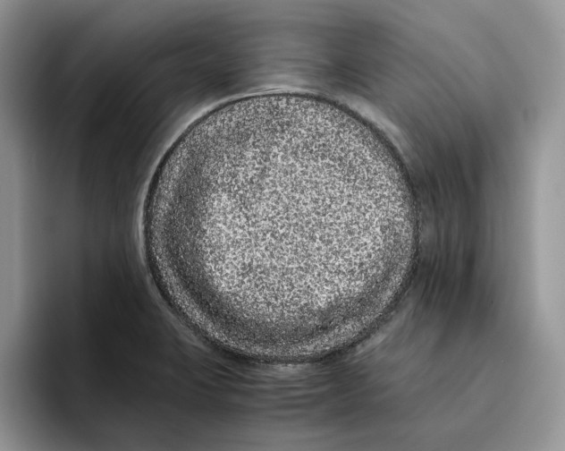 X0000093531423200711091750