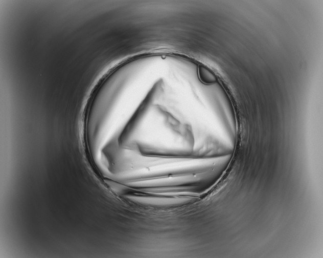 X0000093531424200711091750