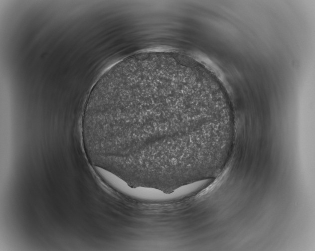 X0000093531425200711091750