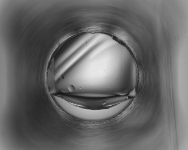 X0000093531426200711091750