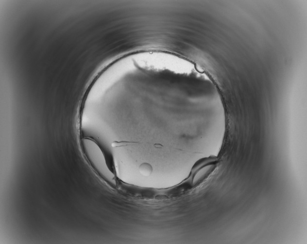 X0000093531428200711091750