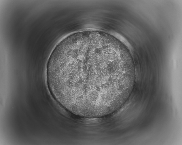 X0000093531431200711091750