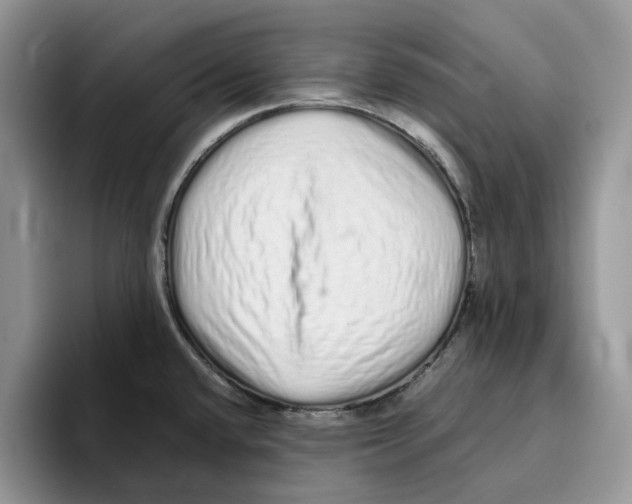 X0000093531432200711091750