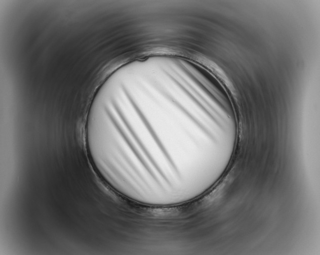 X0000093531433200711091750