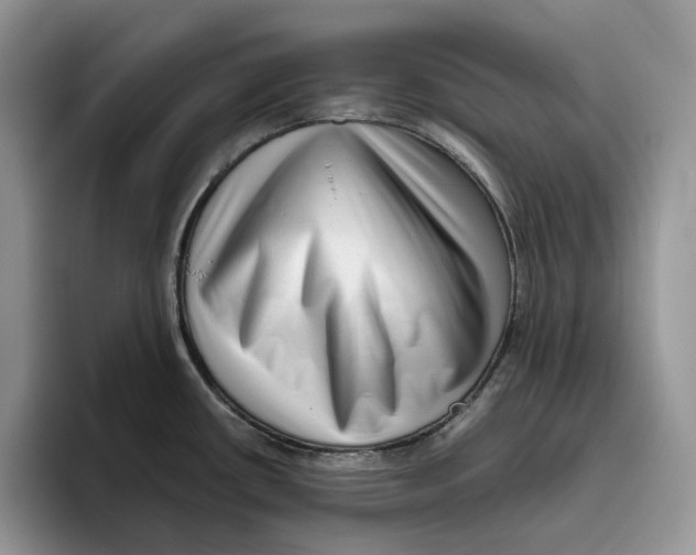 X0000093531434200711091750