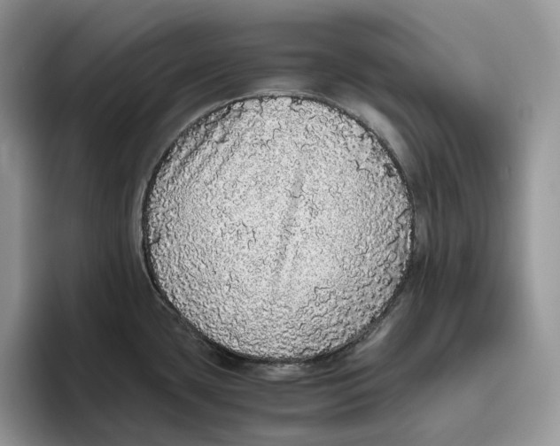 X0000093531435200711091750