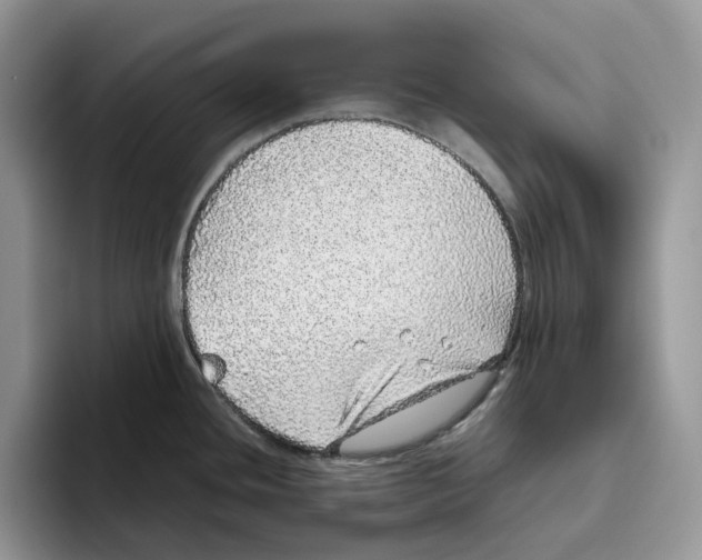 X0000093531436200711091750