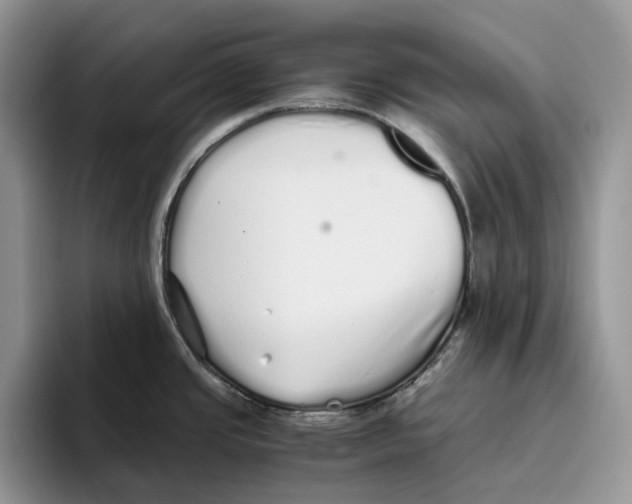 X0000093531437200711091750