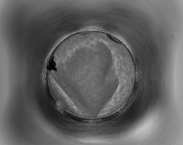 X0000093531438200711091750