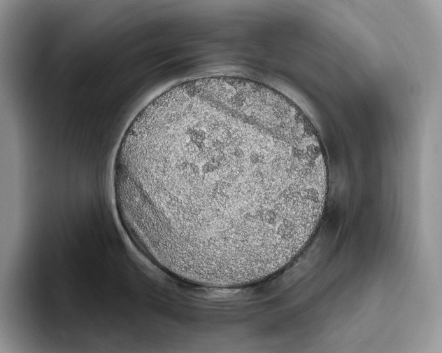 X0000093531439200711091750