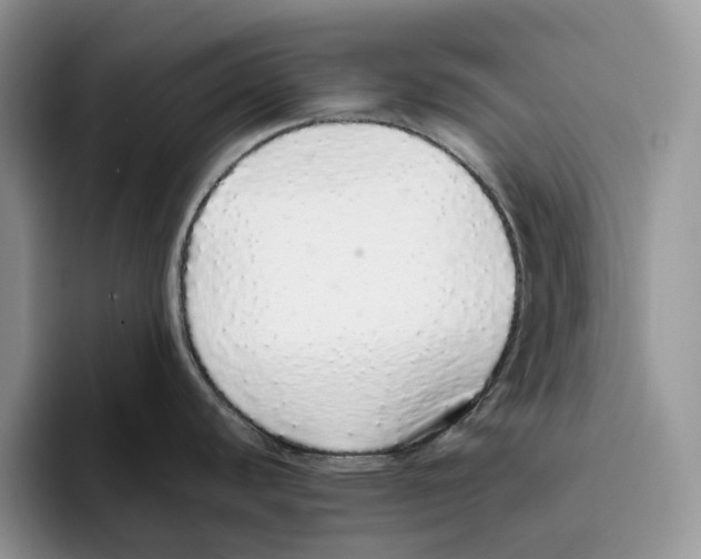 X0000093531440200711091750