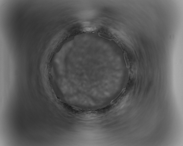 X0000093531441200711091749