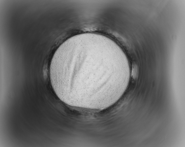 X0000093531444200711091749