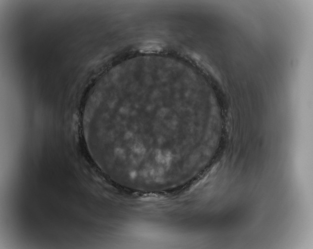 X0000093531445200711091749