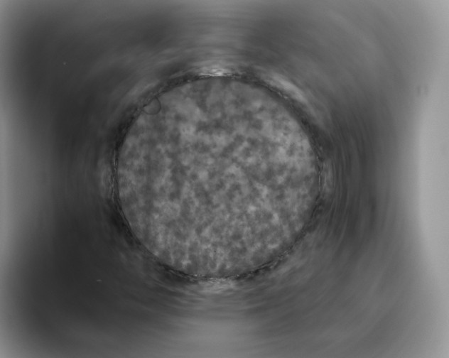 X0000093531446200711091749