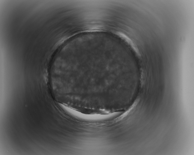 X0000093531449200711091749