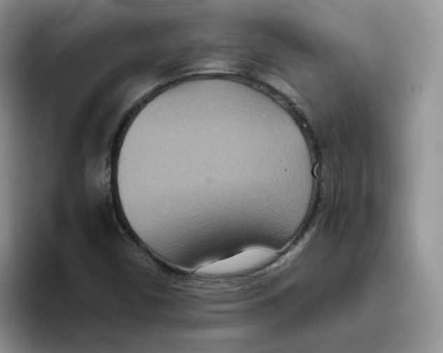 X0000093531450200711091749