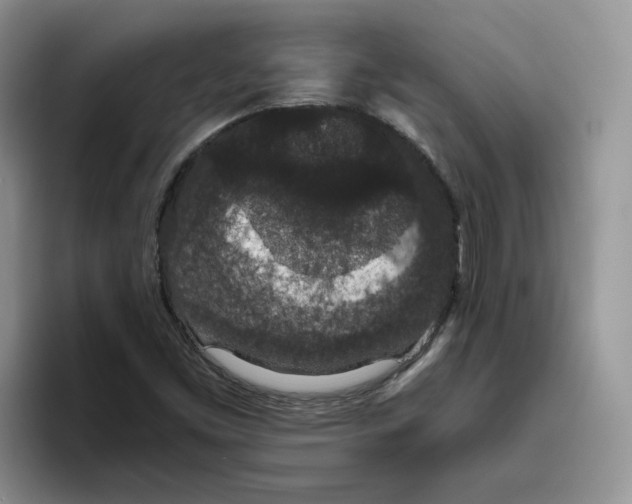 X0000093531453200711091749