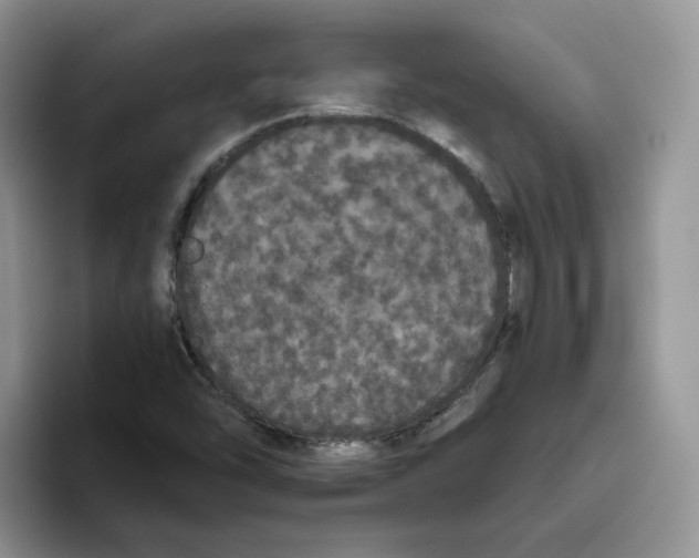 X0000093531454200711091749