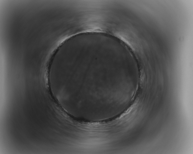 X0000093531455200711091749